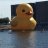 Photo of Hoppyjr141