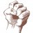 Photo of tinkfist