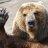 Bbear