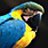 Photo of moof_jackson