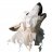 Photo of Flyte
