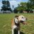 Photo of luvinwithmork