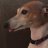 Photo of Bored_Silly