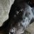 Photo of Juderose62
