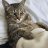 Photo of thumsl