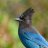 Photo of Dave_M