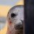 Photo of Panopticlown