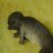 Photo of Seal_of_Approval