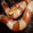 Photo of cornsnake23