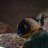 Photo of fishhguy