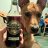 Photo of Shiner13