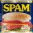 Photo of spamtrapmail