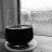 Photo of rain_dog