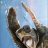 Photo of Grog_Guzzler