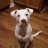 Photo of janey323