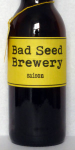 Saison