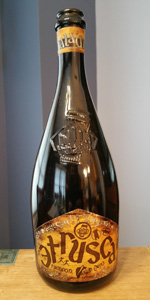 ArcheoBirra Etrusca