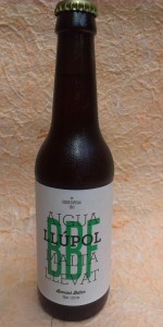 BBF 2013 Hops