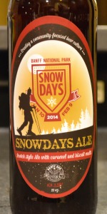 Snowdays Ale