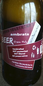 Ambrata