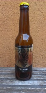 Triticum