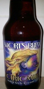 Electric Mullet India Style Cream Ale