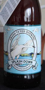 Splash Down Belgian-Style Golden Ale