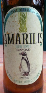 Amarilis Irish Stout
