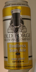 Endless Sun Ale