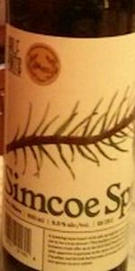 Simcoe Spruce