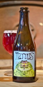 Marius (Blueberry)