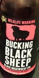 Bucking Black Sheep