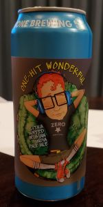 One Hit Wonderful