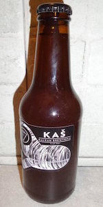 KaÅ¡ APA