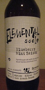 Blueberry Mint Saison