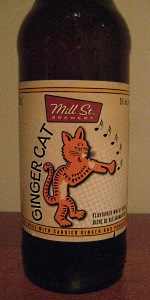 Ginger Cat