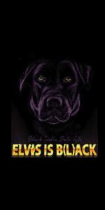 Elvis Is Black