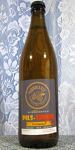 Pils-Sinner