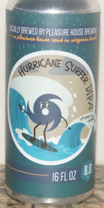 Hurricane Surfer
