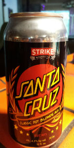 Santa Cruz Classic Dot