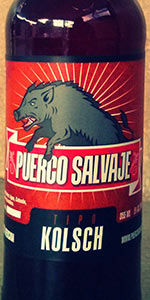 Tipo Kolsch