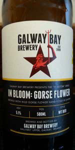 In Bloom: Gorseflower Wit