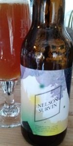 Nelson Survin