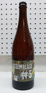 Assemblage No. 5