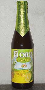 Florisgaarden Cactus