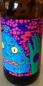 Ras Soft Citra IPA