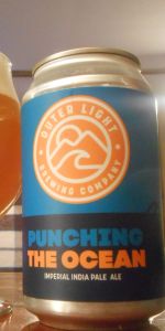 Punching The Ocean