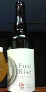 Free Rise - Citra Dry Hopped Saison