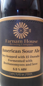 American Sour Ale