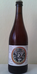 Winter Ale 16Â°